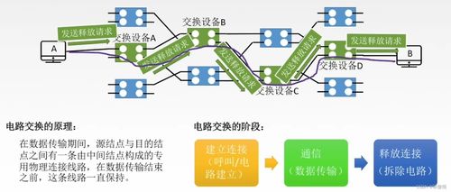 計算機網(wǎng)絡(luò)技術(shù)服務(wù) 互聯(lián)時代的基石
